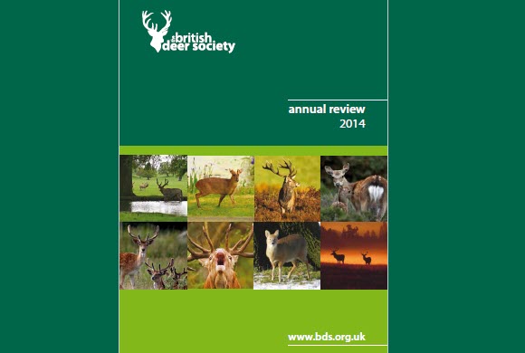 BDS Annual Review 2014
