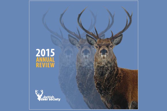 BDS Annual Review 2015