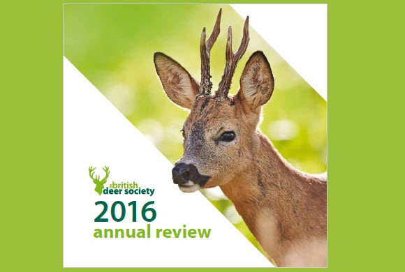 BDS Annual Review 2016
