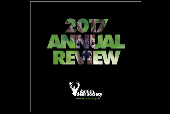 BDS Annual Review 2017